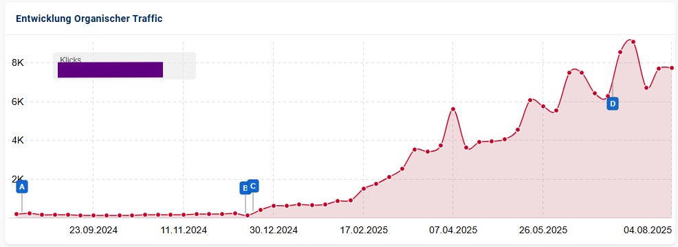 Traffic Schätzung 2025
